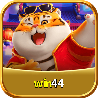 Ícone win44